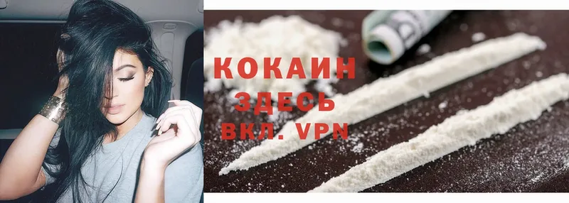 МЕГА маркетплейс  Ставрополь  Cocaine Эквадор 